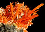 Bright Orange Crocoite Crystal Cluster - Tasmania #182727-2